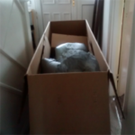 Steph West's oversized cardboard box blocking her corridor